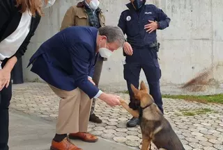Kenzo, el nuevo benjamín de la Policía Local de Villanueva de la Cañada