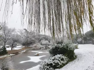 Activado el Plan de Inclemencias Invernales en Villanueva de la Cañada