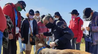 La Unidad Canina villanovense participa en una exhibición en el centro de la Fundación Jardines de España
