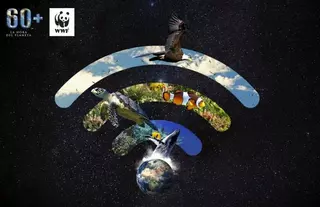 Villanueva de la Cañada se suma a la "Hora del Planeta"