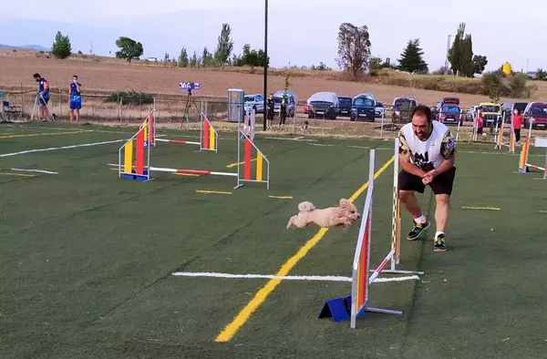 Medio centenar de deportistas y sus perros participan en un concurso de Agility en Villanueva de la Cañada