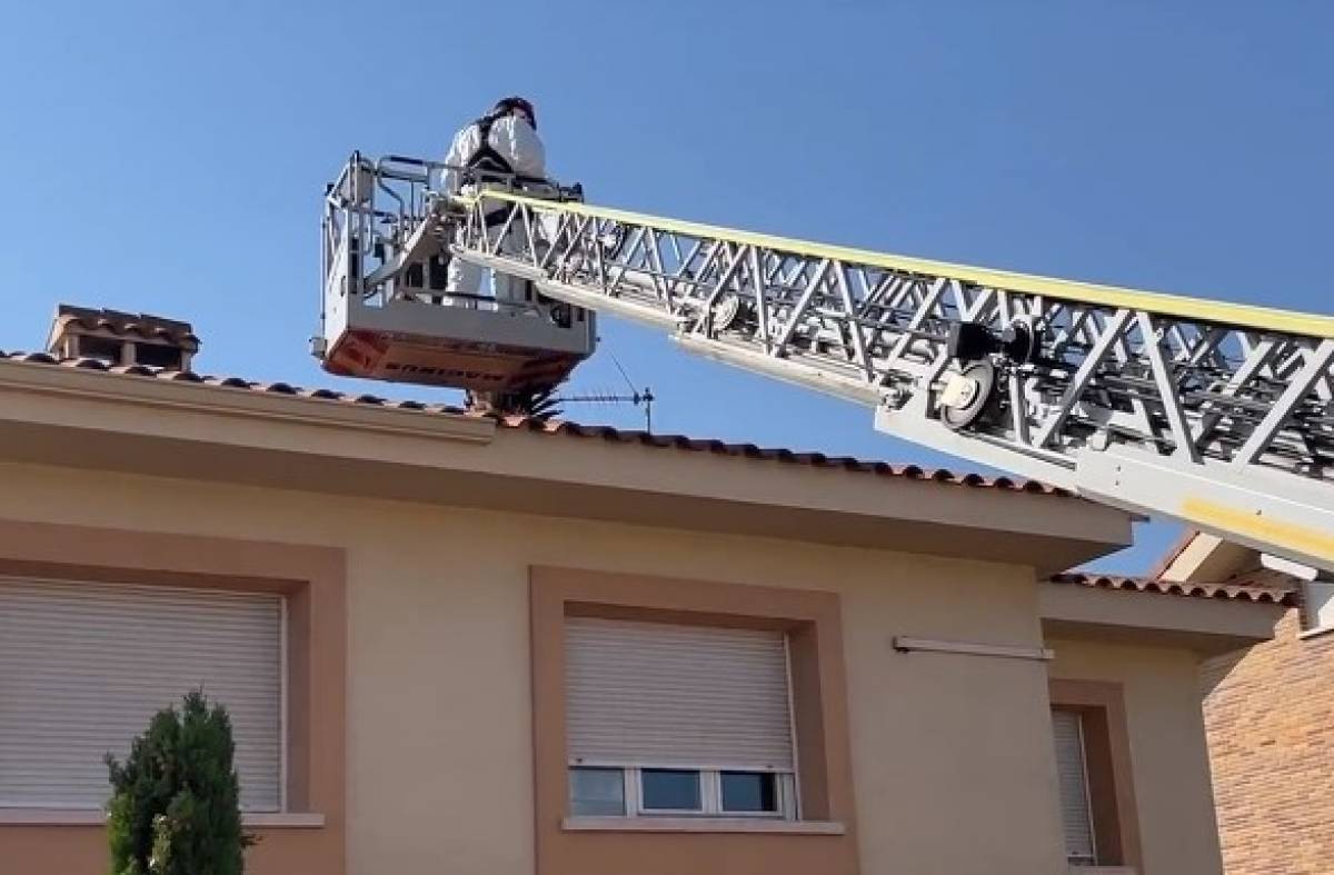 Rescatan el cuerpo sin vida de un buitre leonado en el tejado de una casa de Villanueva de la Cañada