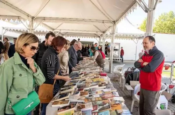 Talleres, cuentacuentos y actuaciones musicales gratuitas en las 'Jornadas del Libro' de Villanueva de la Cañada