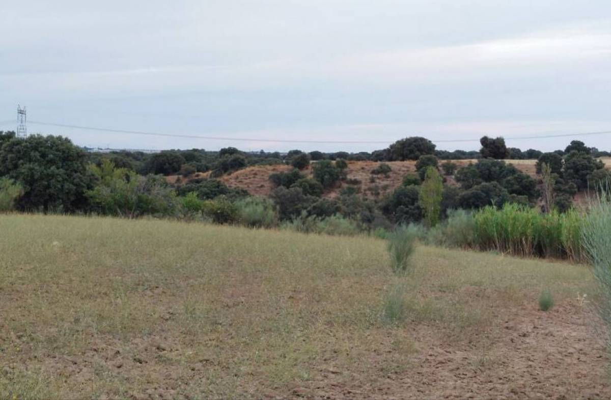 Ecologistas en acción critica las 'desproporcionadas recalificaciones' que propone el PGOU de Villanueva de la Cañada