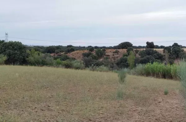 Ecologistas en acción critica las 'desproporcionadas recalificaciones' que propone el PGOU de Villanueva de la Cañada
