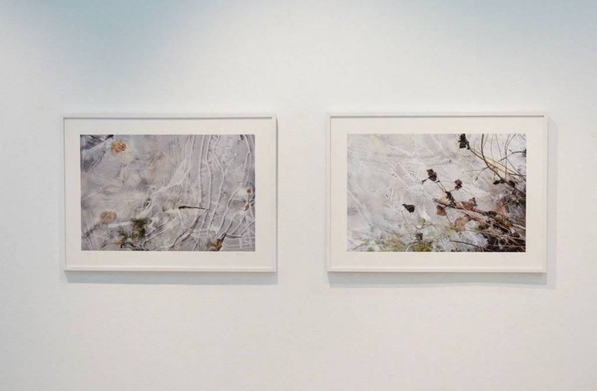 Villanueva de la Cañada inaugura dos exposiciones: 'Codex’ e ‘Interiores: fotografías para un paisaje’