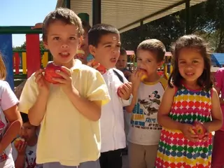 El Ayuntamiento reparte una tonelada de manzanas entre los escolares.
