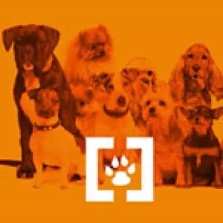 Campaña de vacunación e identificación de perros y gatos en Villanueva del Pardillo